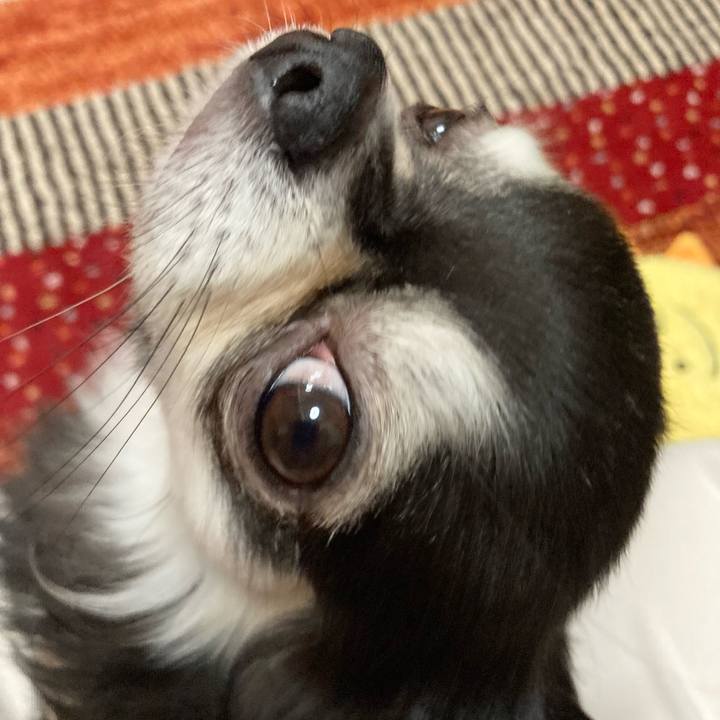 Bd18717b 32c5 40fc a798 06e293f3c344 1678548028838