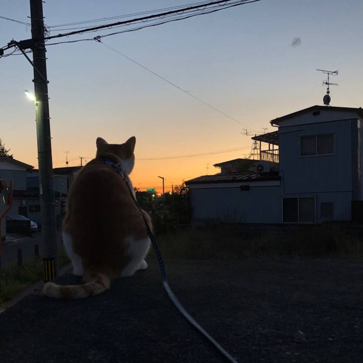 Bd1873ec 1f42 4e14 80c5 d5537d6d2a56 1540122706058