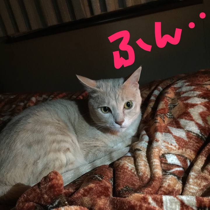 Bd189cd8 ca4b 42aa a402 c940d06f4b43 1519725120629