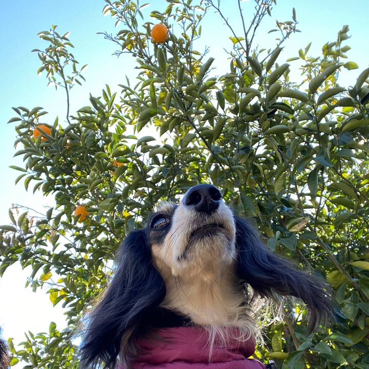 Bd18d6c0 1136 4115 8419 5d872b6e2041 1740291200930