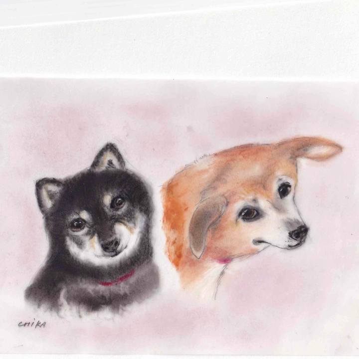 Bd19004c dffc 4f1f 86ff 872933f379c0 1622557904057