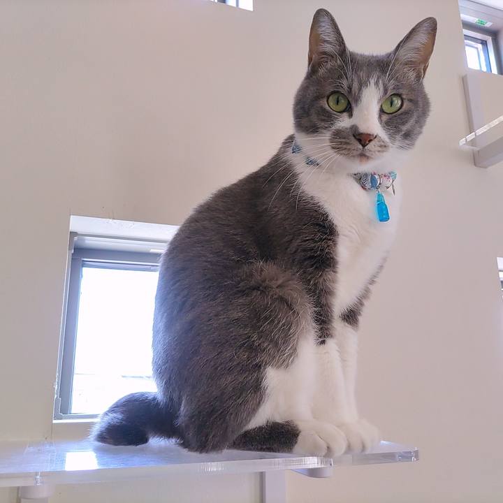 Bd194e95 29bb 4ed6 9015 b684010bd5e1 1666324277093