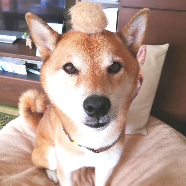 Bd19571c 8480 411d b77a da838cec1acc 1663248165716