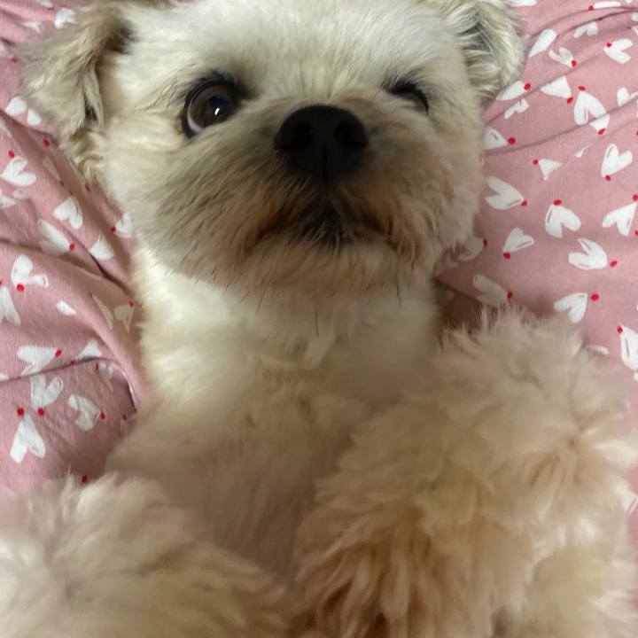 Bd196848 ee5a 4289 ae7e 289e4053f5a3 1597666806204