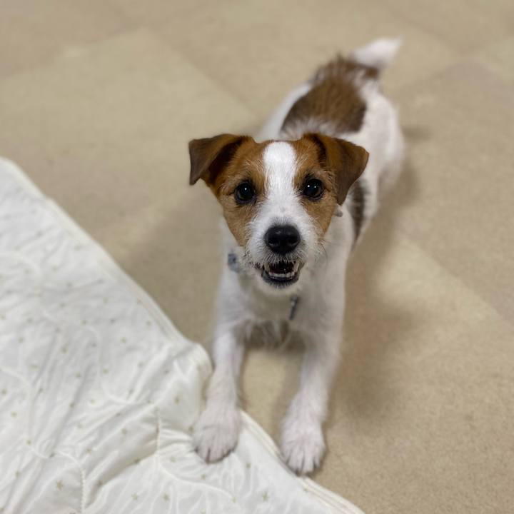 Bd19707d c4e5 443e bc3d be16000c6287 1752415234936