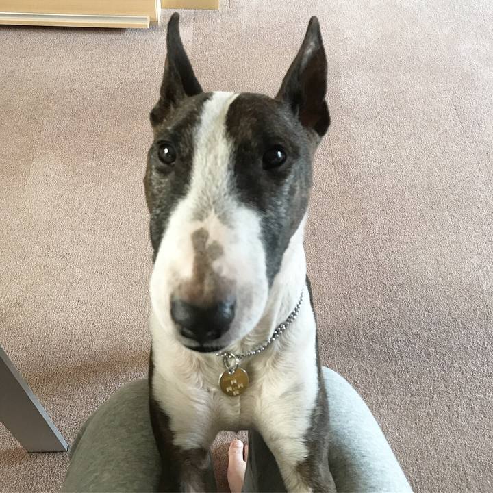 Bd19a74e 7f42 4069 b75b f8f44745d684 1509860047573