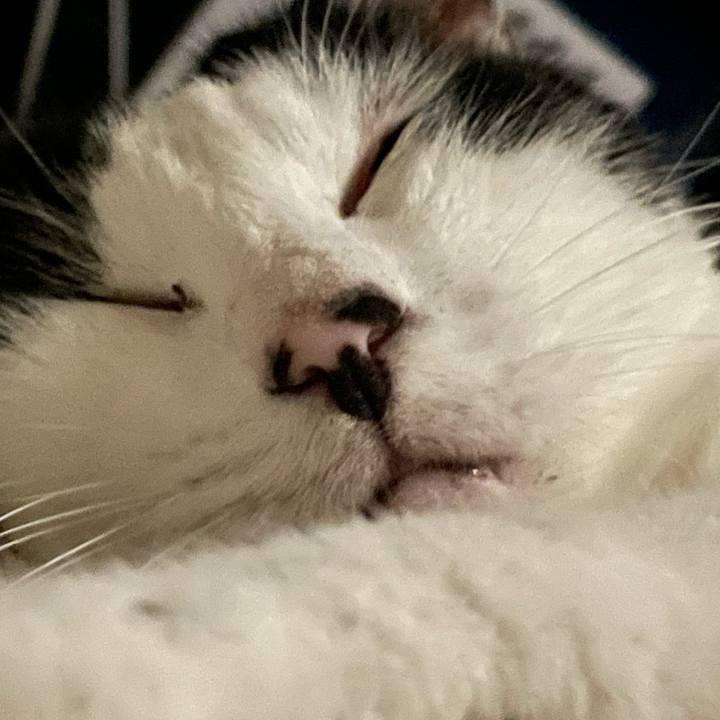 Bd19dd97 7a32 43f6 9464 8c37958effec 1686937693701