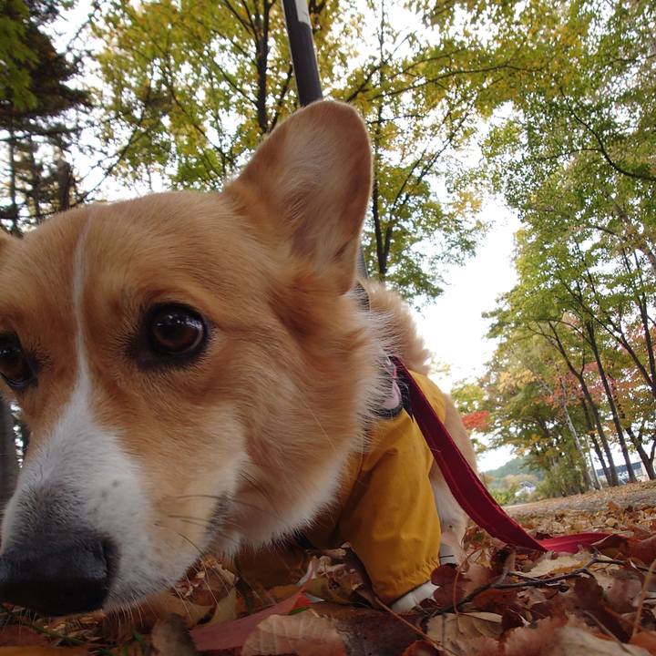 Bd19e343 1cde 4aff 86e3 315355c6ce37 1761356699485