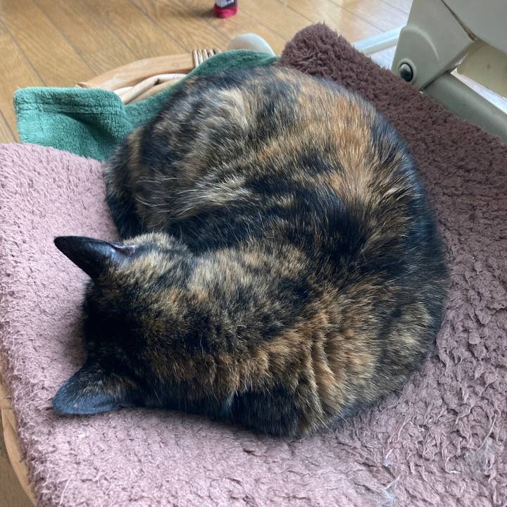 Bd1a0eeb 189f 4212 8fbd 37e413e51c95 1643688829338