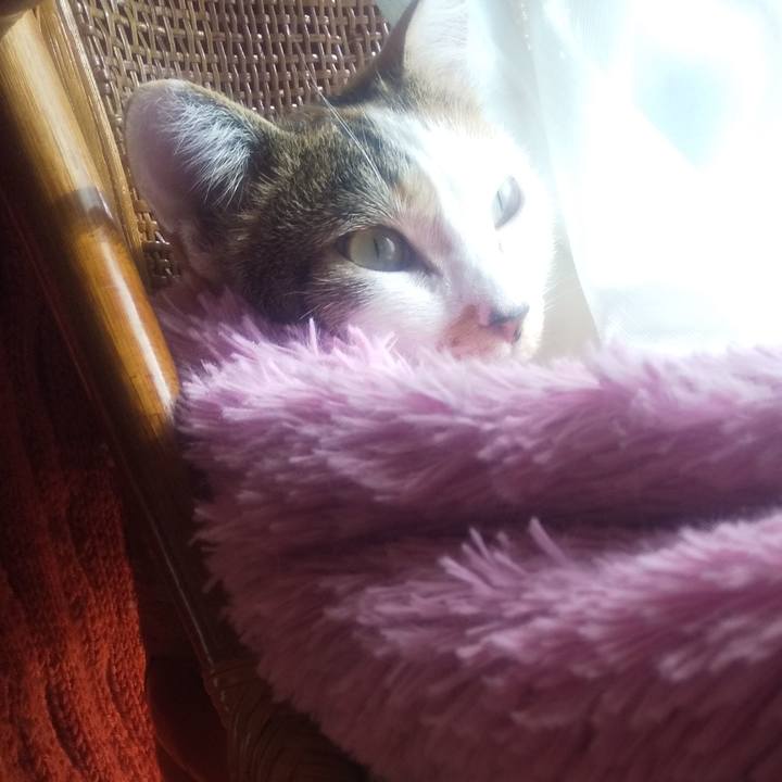 Bd1a12b7 bc52 4e92 b2f2 6bbfbc67fc78 1678427011483