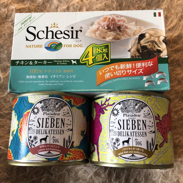 Bd1a37ac 4eb0 4b3d 9fb1 60392c2561d8 1545877785337