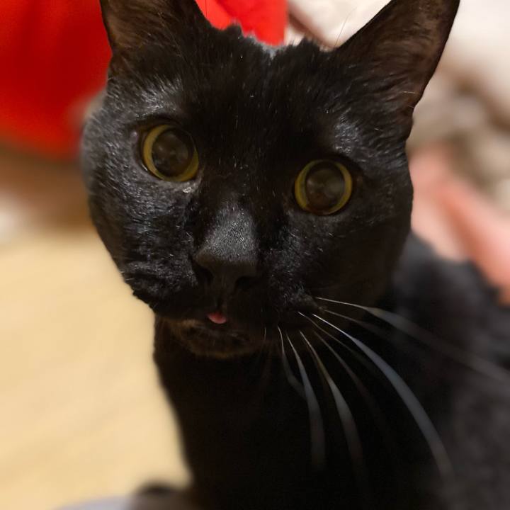 Bd1a712a 6a08 47a4 aef5 bd18b12ebbe1 1622119133340