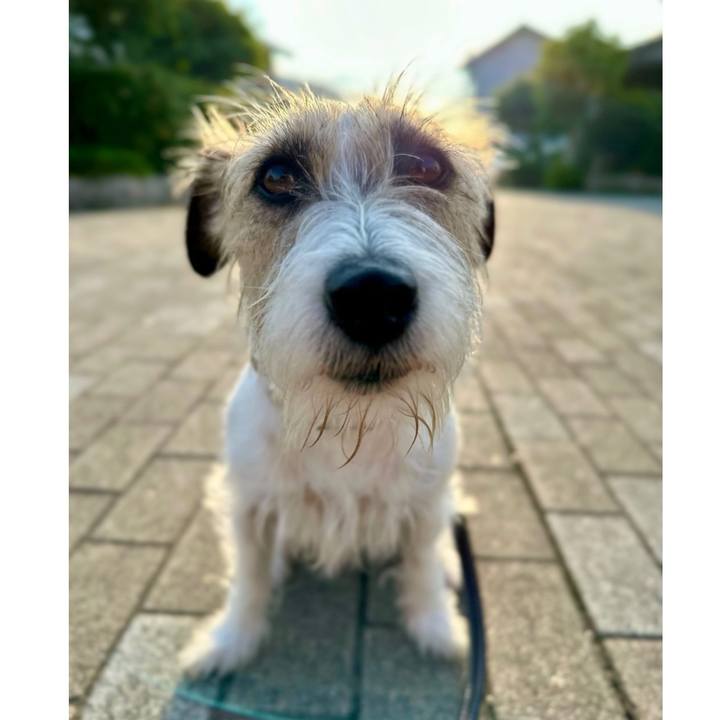 Bd1a8d78 5949 439a ad3c b4cc24f6fa0b 1718672625337