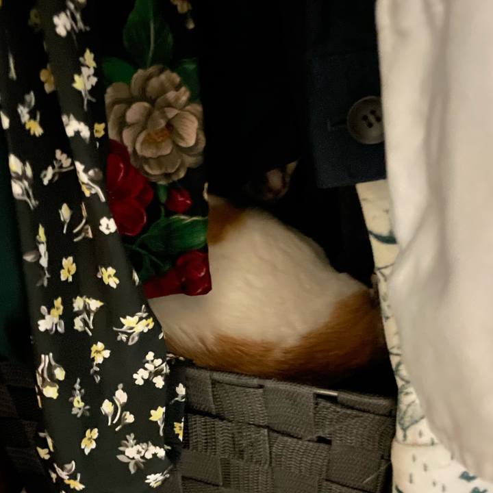 Bd1ab1ca ef7f 4320 8180 ed6e0870e4b1 1692433904336