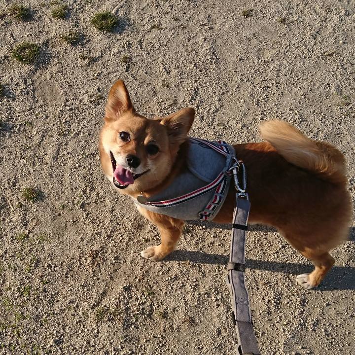 Bd1ab4bd a48e 46d0 902a 430dfa596cdf 1553176406353