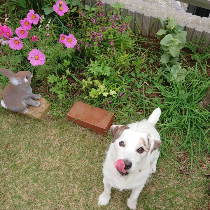 Bd1ab512 691a 4a8b 9514 e5ca68555e25 1544744011857