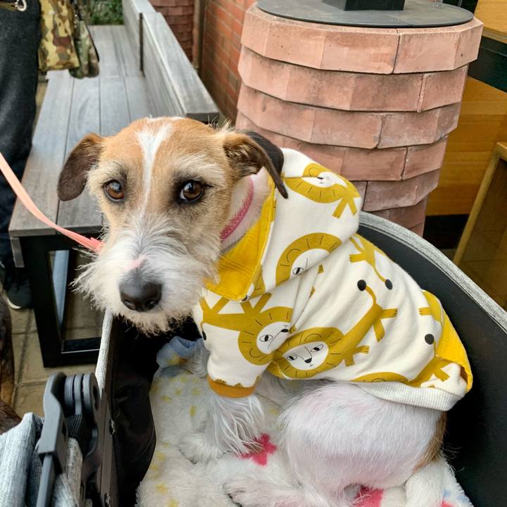 Bd1af5b8 1774 4a36 9fbd 7ce197310615 1612701757303