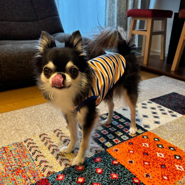 Bd1afede abf1 4160 b79a b8b5dff36b26 1720887829459