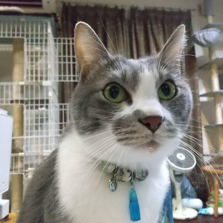 Bd1b0044 2673 4d61 b7a0 2701c960f3f2 1704190072545