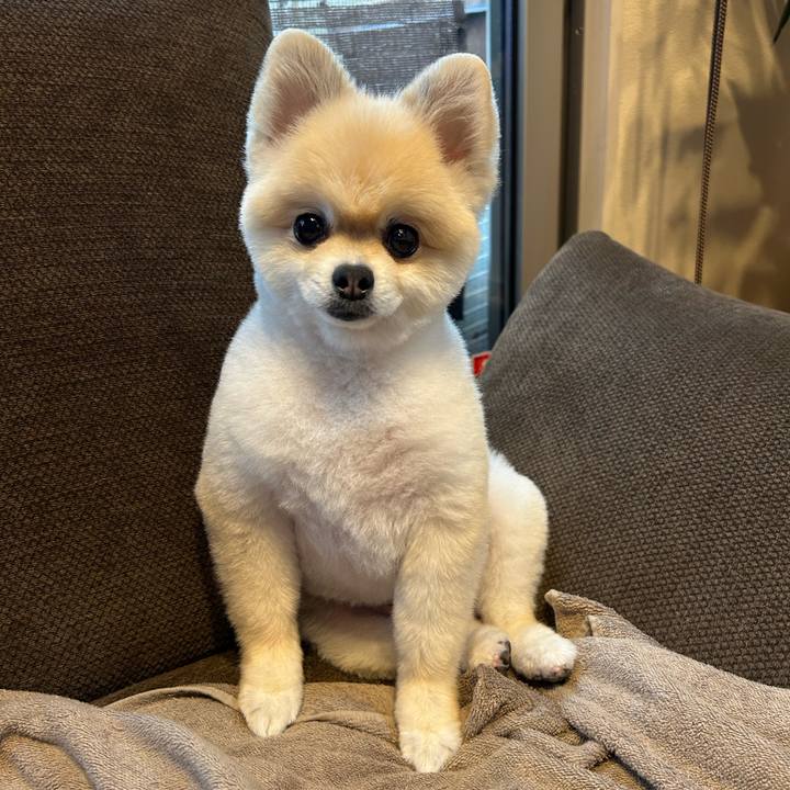 Bd1b4169 3e88 43e6 a26c 72c29d83f657 1757918905772