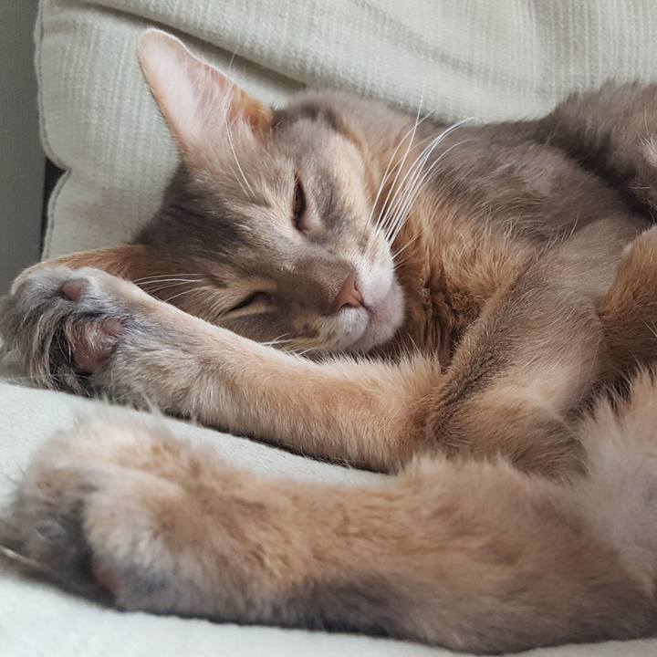 Bd1ba350 c4f4 4add a0c1 d35390b03d83 1572269541471