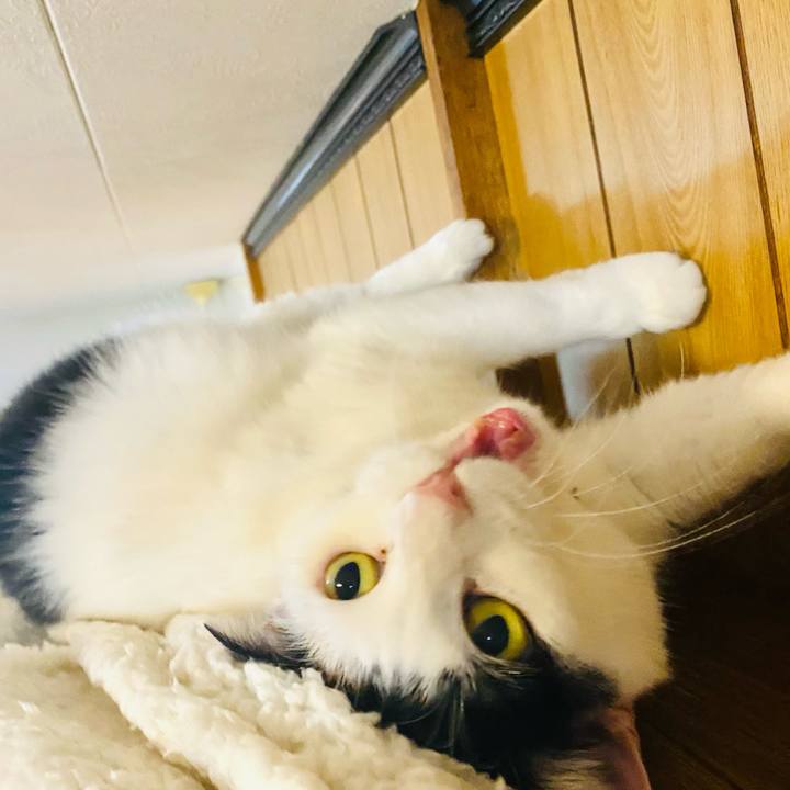 Bd1bfec9 d391 4a49 8173 871cc37f384a 1679061381287