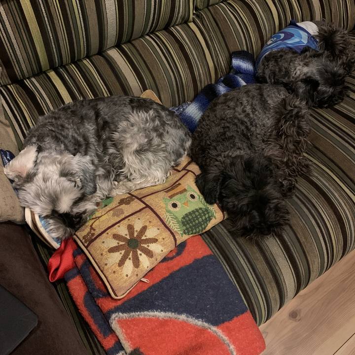 Bd1c5d80 2f92 4936 b5a0 eb845677dc4c 1610968737397