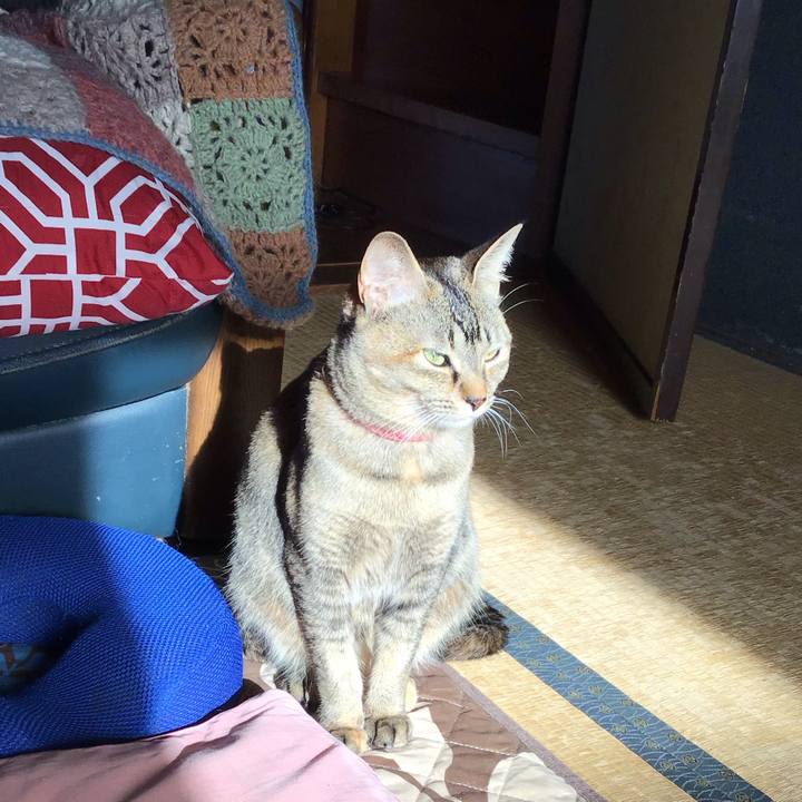 Bd1c7af2 37b4 4f2e 9e36 e8fafcb2951a 1586474920837