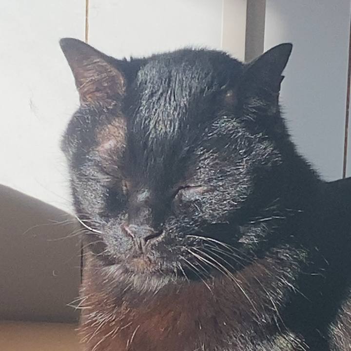 Bd1ca59f 24cc 4217 b77e 59f0d1ea9d93 1734137170205