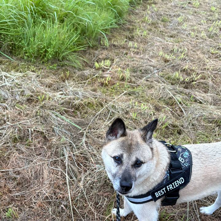 Bd1cb5de 4265 4e74 b5a8 5079f6a86286 1752843197588