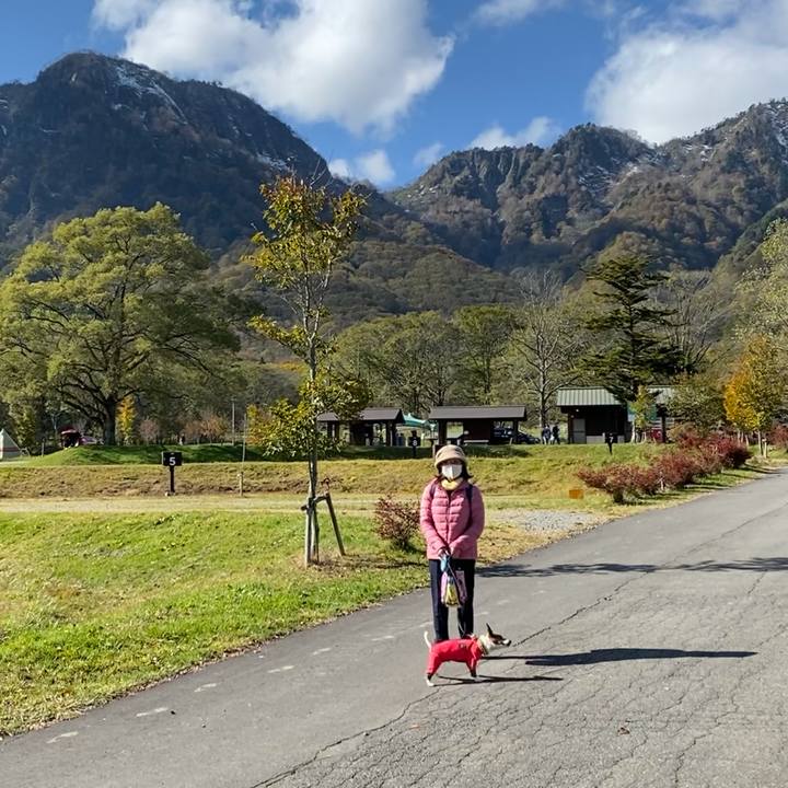 Bd1cd5e7 bc78 4c88 80be 01ec231036d4 1635057525734