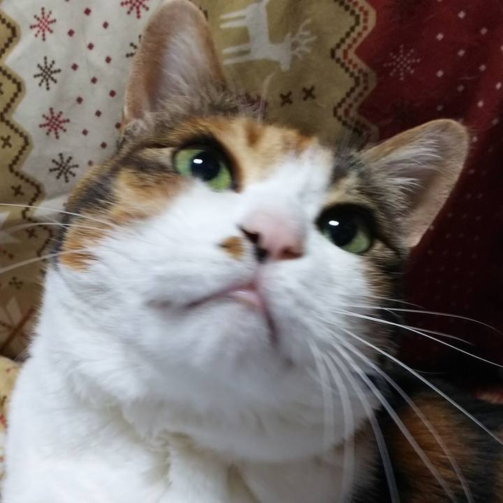 Bd1cfe9d 04bf 427e 938e 6f9ceb250419 1551263010785