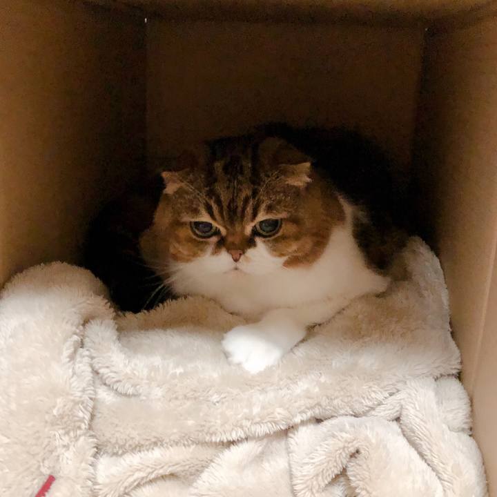 Bd1d057f 7515 42a0 ba11 4de396b619ad 1575808042674