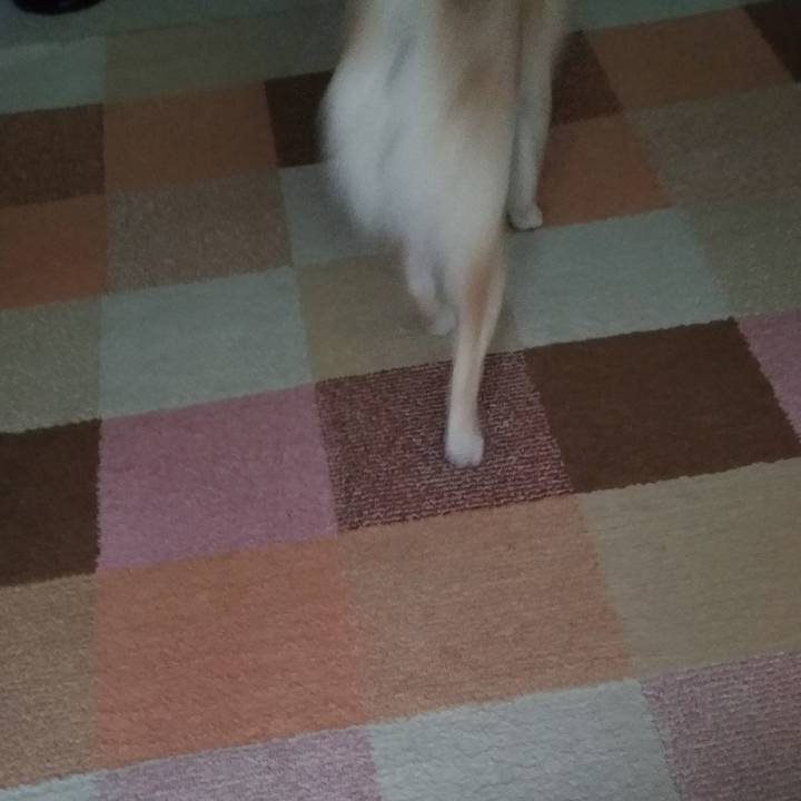 Bd1d2782 b21b 498c a492 9a87ecfa98c7 1587415435895