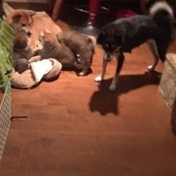 Bd1d50b1 99e2 4bad a5fa 99ddc5fd514f 1575682848872