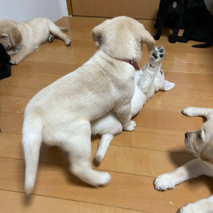 Bd1d60ea f9d3 4290 b5af 422c544bfad8 1629244175882