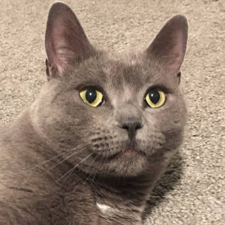 Bd1dc87f 0fbb 4855 91a5 94890bdc3183 1677091570018