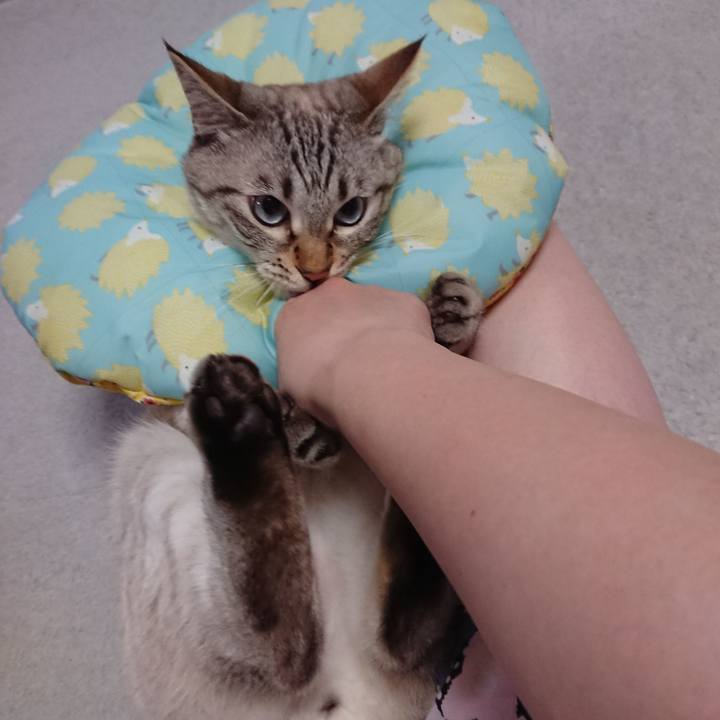 Bd1dd1a2 b13d 41b6 8b6d 767bd795b629 1562590486288