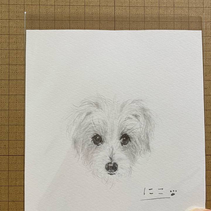 Bd1dd2ce d0df 46bc 8759 defa1514a04b 1607119326347