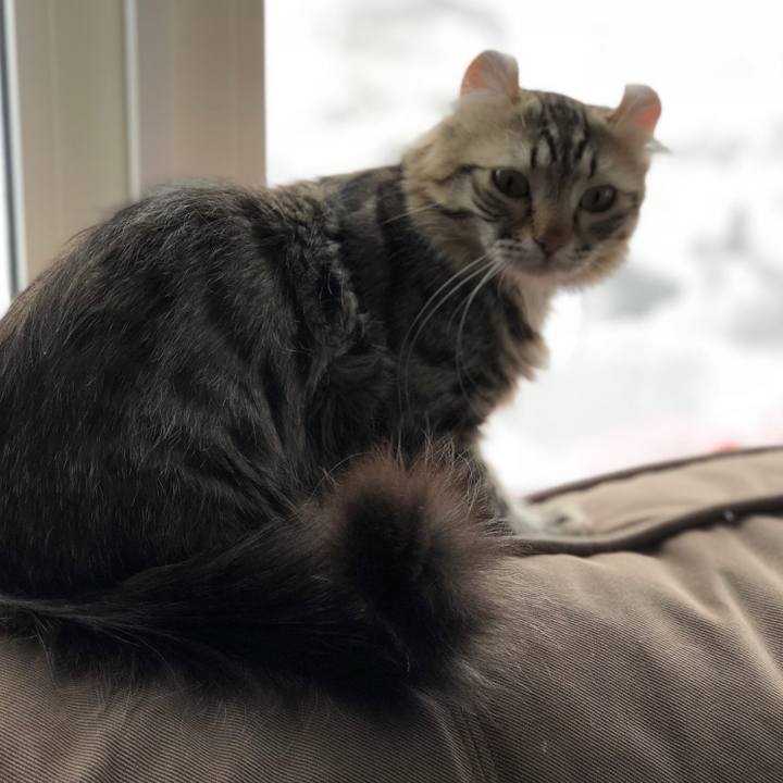 Bd1dd2ee 1089 4322 8c12 86b05520e434 1519451427740