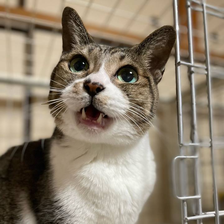 Bd1df371 39e3 45b1 8805 37c007583822 1636679724275