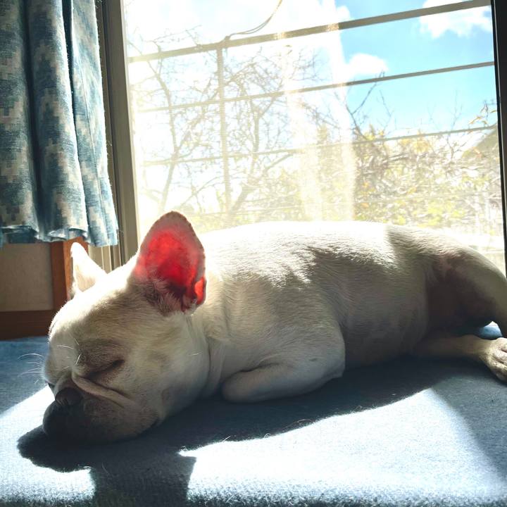 Bd1e197b eee3 4914 9361 3502a9156205 1759633536787