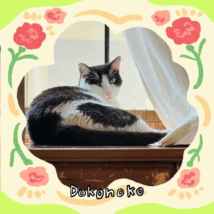 Bd1e208b 65a9 4a0a a83f 974ee5eff633 1714960440223