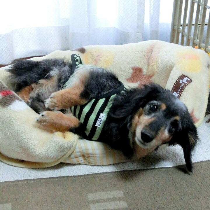 Bd1e2c08 21fe 4e34 a513 10cd42935402 1546824572480