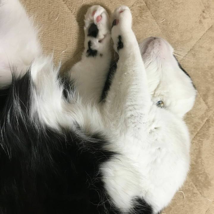 Bd1e575f 6e57 413c b511 e7f6efd42b30 1555203426948