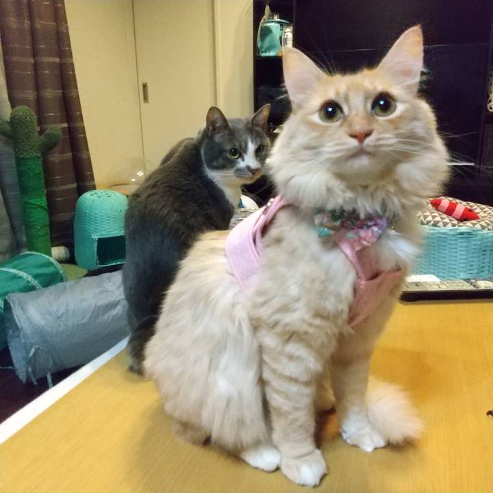 Bd1e67fd 84fd 431d a78e 83e79de0a17a 1643817396891