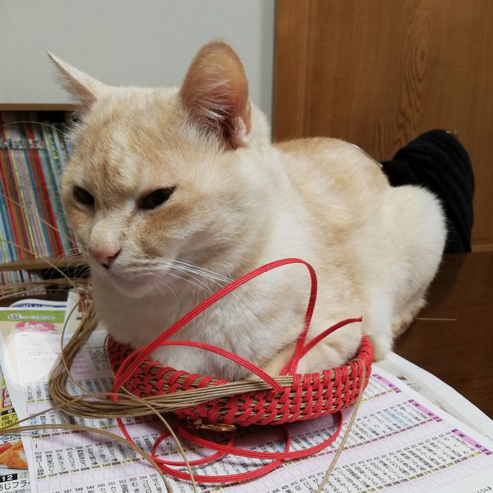 Bd1e7340 3798 49ce 930d c88542b0f046 1711238570729