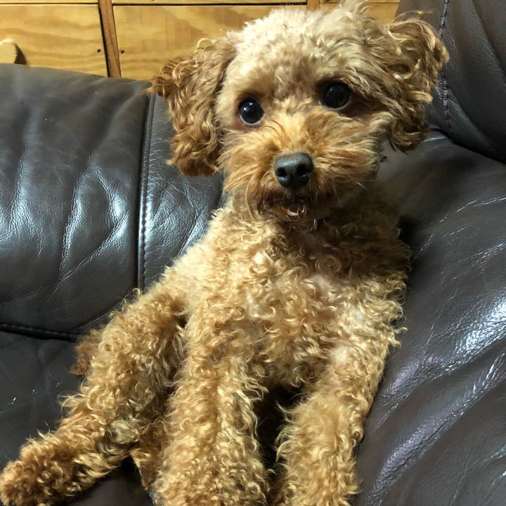 Bd1ebea4 4baf 475b a09e 01f4a154285b 1540247446025