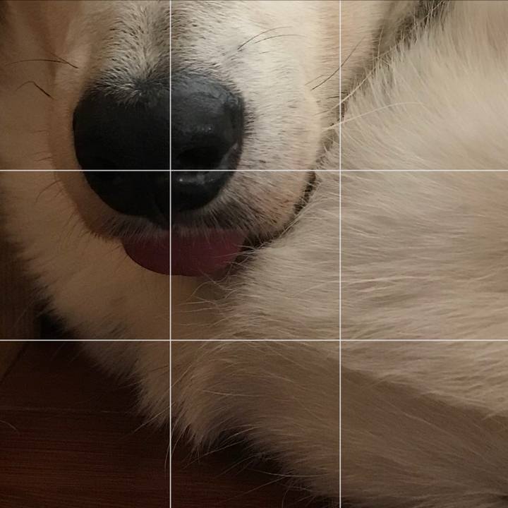 Bd1ec2ce d1c4 461f b029 915ea0dcb77c 1587212736920