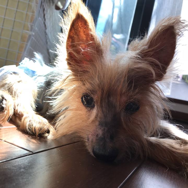 Bd1eccd9 d241 480b 89a0 e26e2f638cef 1538357992212